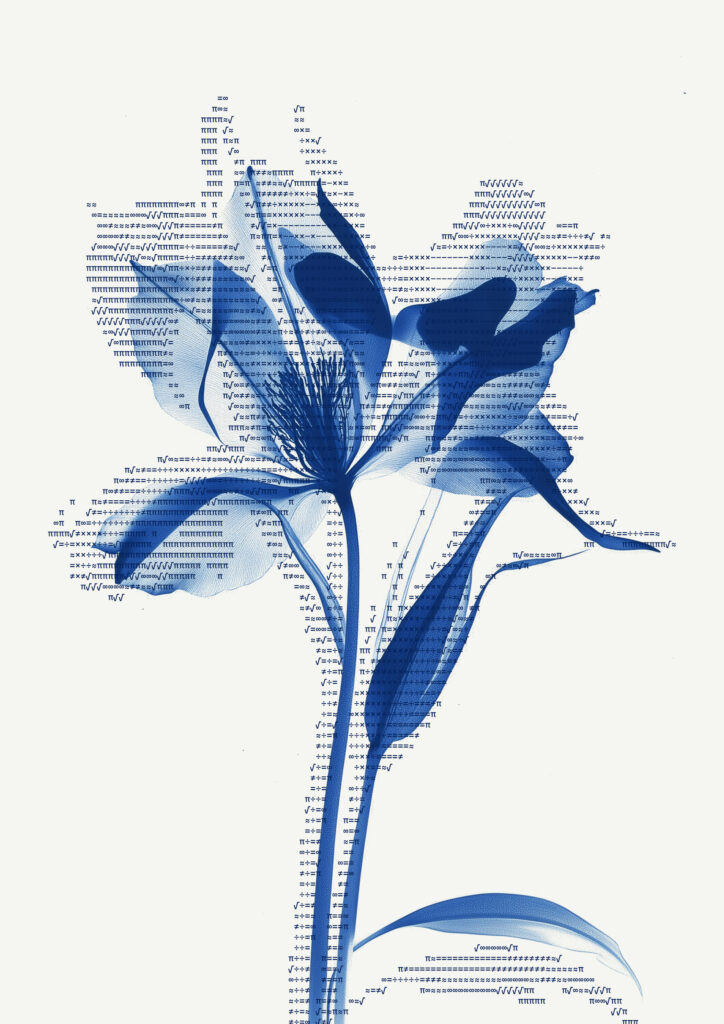 flo3
